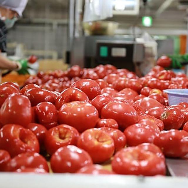お取り寄せ 送料無料 とまとジュース ふるさとの元気 食塩無添加 ５００ｍｌ × １０本 ｜約7-10日届※沖縄・離島届不可(直)