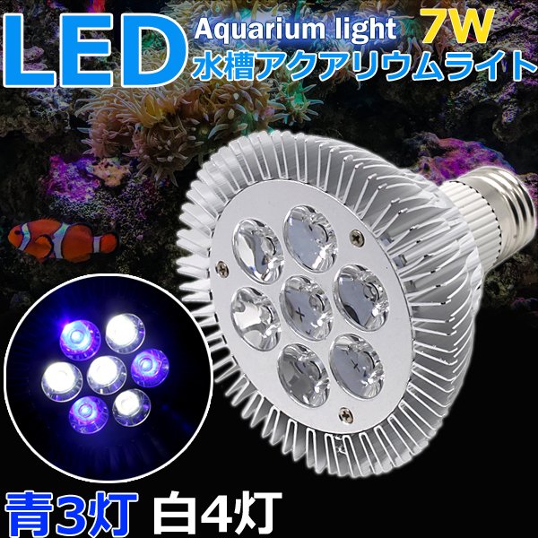 即日発送 水槽照明 アクアリウムライト サンゴ 海水魚 Ledライト 7w E26口金 青3 白4灯 熱帯魚 海水魚 水草 植物育成 海水 スポットライの通販はau Pay マーケット Wellvie