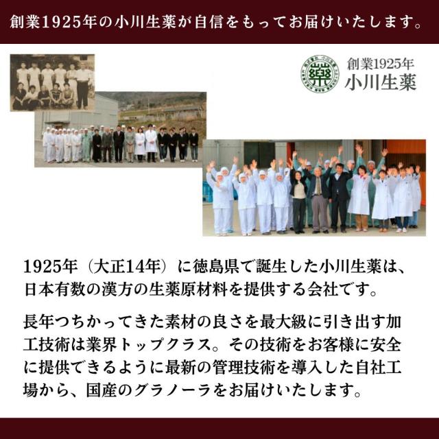 送料無料 もち麦グラノーラ 国産 プレーン 250g 小川生薬 砂糖・添加物・油不使用 クラフトパッケージ 10袋セット_4