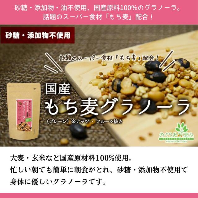 送料無料 もち麦グラノーラ 国産 プレーン 250g 小川生薬 砂糖・添加物・油不使用 クラフトパッケージ 10袋セット_1