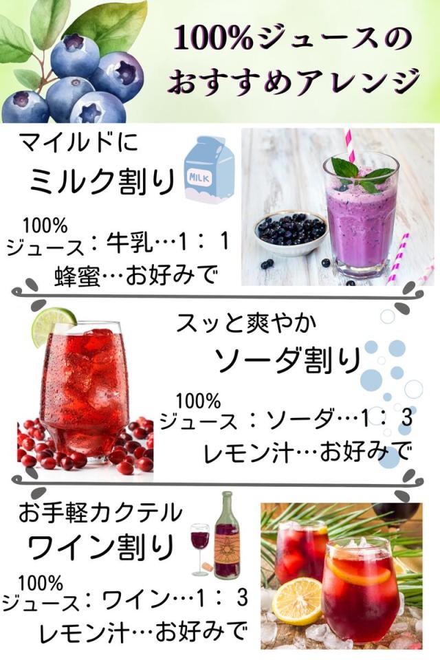 カシス 100 濃縮還元ジュース 500ml 順造選 6本セット_4