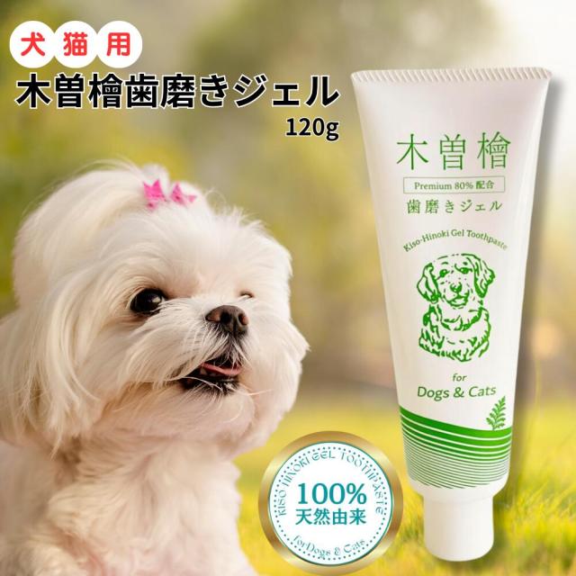 木曽檜歯磨きジェル ペット用 120g  Premium プラスケア 木曽檜 蒸留水80％配合【正規品】 犬・猫用