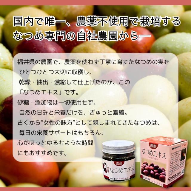 棗の里農産 国産 なつめエキス 瓶入 220g 福井県産 農薬不使用 添加物不使用 ノンカフェイン 漢方 薬膳 ナツメ なつめ 棗 シーロード 10個セット