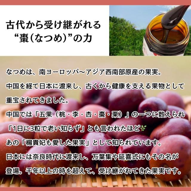 棗の里農産 国産 なつめエキス 瓶入 220g 福井県産 農薬不使用 添加物不使用 ノンカフェイン 漢方 薬膳 ナツメ なつめ 棗 シーロード 10個セット