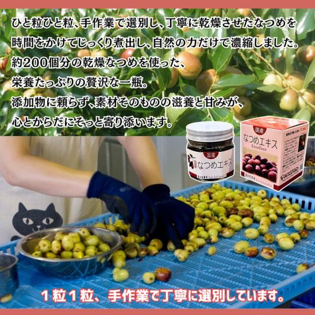 棗の里農産 国産 なつめエキス 瓶入 220g 福井県産 農薬不使用 添加物不使用 ノンカフェイン 漢方 薬膳 ナツメ なつめ 棗 シーロード 10個セット