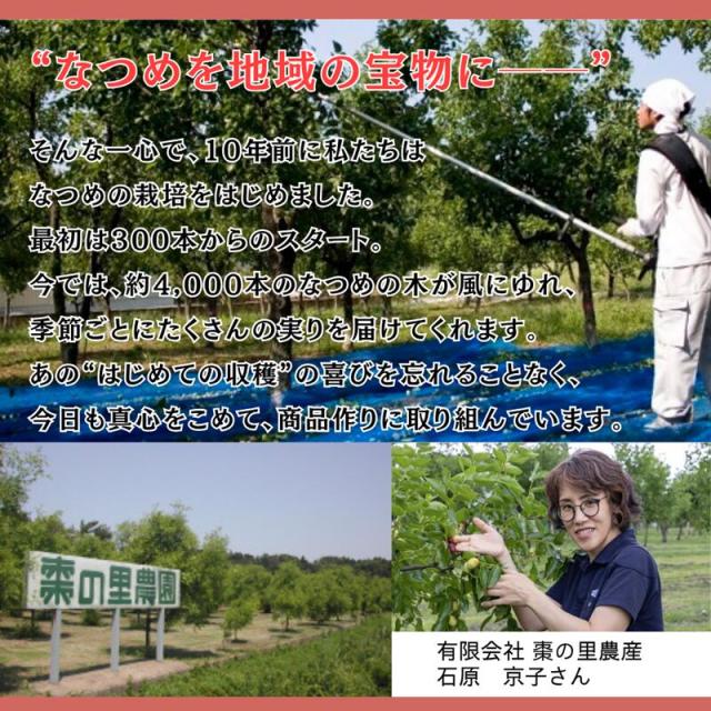 棗の里農産 国産 なつめエキス 瓶入 220g 福井県産 農薬不使用 添加物不使用 ノンカフェイン 漢方 薬膳 ナツメ なつめ 棗 シーロード 10個セット