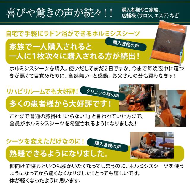 ホルミシスシーツ 100×200cm ホルミシス効果 岩盤浴 プラスケア正規品 タオルケット 温泉 天恵石鹸 ヒートマット 敷きタイプ 鉱石 ラジウム ギフト 父の日 母の日 シーツ ひざ掛け 毛布 プレゼント 冷え対策 ポカポカ 全国の整体やサロン導入続々 2枚組_6