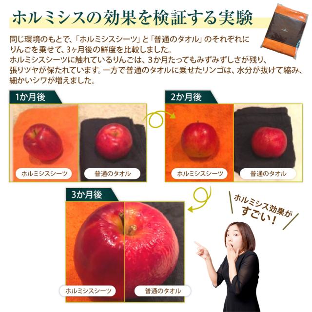 ホルミシスシーツ 100×200cm ホルミシス効果 岩盤浴 プラスケア正規品 タオルケット 温泉 天恵石鹸 ヒートマット 敷きタイプ 鉱石 ラジウム ギフト 父の日 母の日 シーツ ひざ掛け 毛布 プレゼント 冷え対策 ポカポカ 全国の整体やサロン導入続々 2枚組_3