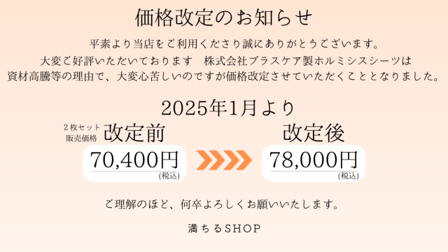 ホルミシスシーツ 100×200cm ホルミシス効果 岩盤浴 プラスケア正規品 タオルケット 温泉 天恵石鹸 ヒートマット 敷きタイプ 鉱石 ラジウム ギフト 父の日 母の日 シーツ ひざ掛け 毛布 プレゼント 冷え対策 ポカポカ 全国の整体やサロン導入続々 2枚組_9