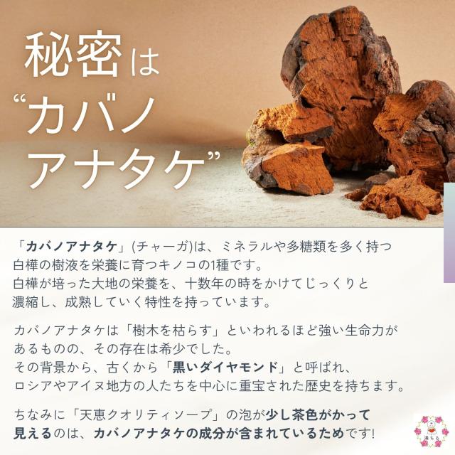 天恵スキンケアセット 樺のあな茸エキス 天恵ローション 100ml、天恵石鹸 1個 チャーガ 化粧水 エクソソーム 無香料 無着色 プラスケア 公式 森のダイヤモンド カバノアナタケ 配合_11