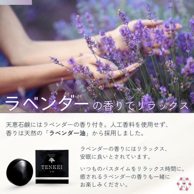 天恵スキンケアセット 樺のあな茸エキス 天恵ローション 100ml、天恵石鹸 1個 チャーガ 化粧水 エクソソーム 無香料 無着色 プラスケア 公式 森のダイヤモンド カバノアナタケ 配合_12