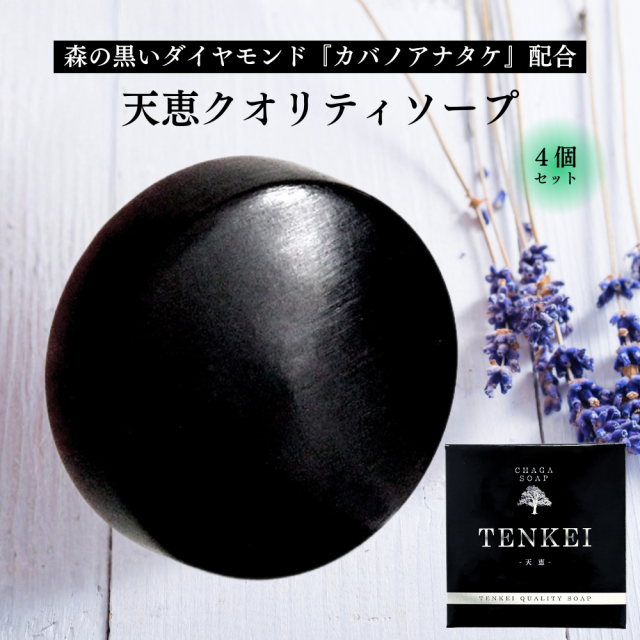 天恵クオリティソープ 80g 天然のカバノアナタケを配合 天恵石鹸 無添加 プラスケア ４個セットの通販は