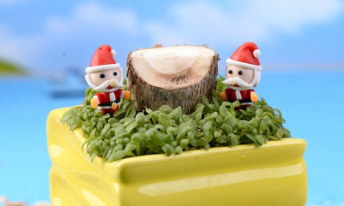 テラリウム フィギュア クリスマス サンタクロース ミニフィギュア コケリウム イベント アクアリウムの通販はau Pay マーケット テラリウムtakara