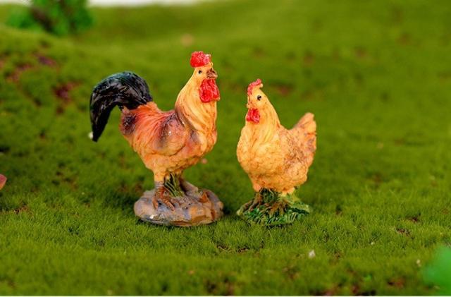 にわとり 鶏オスメス テラリウムフィギュア 動物 フィギュア ミニチュア ミニフィギュア コケリウム テラリウムキットの通販はau Pay マーケット テラリウムtakara