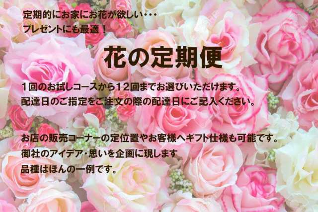 バラ苗 頒布会 シャボンフラワー 花 グリーン 定期便 水谷農園 生育 定期 プレゼント 父の日 母の日 誕生日 ギフト仕様 ギフト フラワー 鉢 99 本ローズ