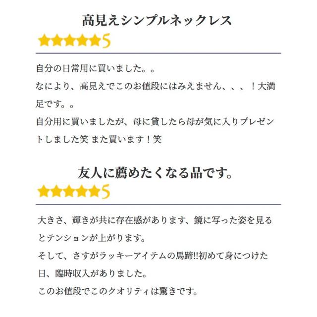 スワロフスキー ネックレス レディース アレルギー対応 18金 プラチナ 仕上 馬蹄 リズ ホースシュー ネックレス 母の日 プレゼント 誕生日 女性 雑貨 60代 40代 20代 30代 50代 母 結婚記念日 プレゼント 妻 ブランド ギフト 即日_6