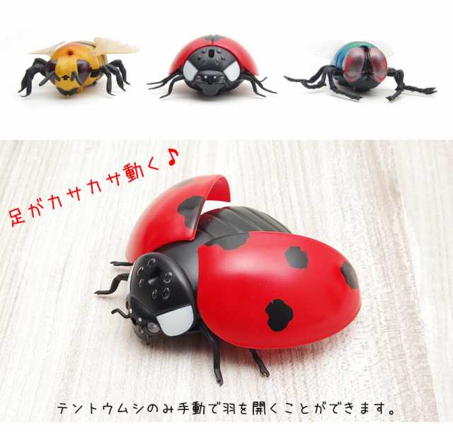 一時停止中 箱付き JD BUG TC-60てんとう虫型 乗用玩具 | www.mairie ...