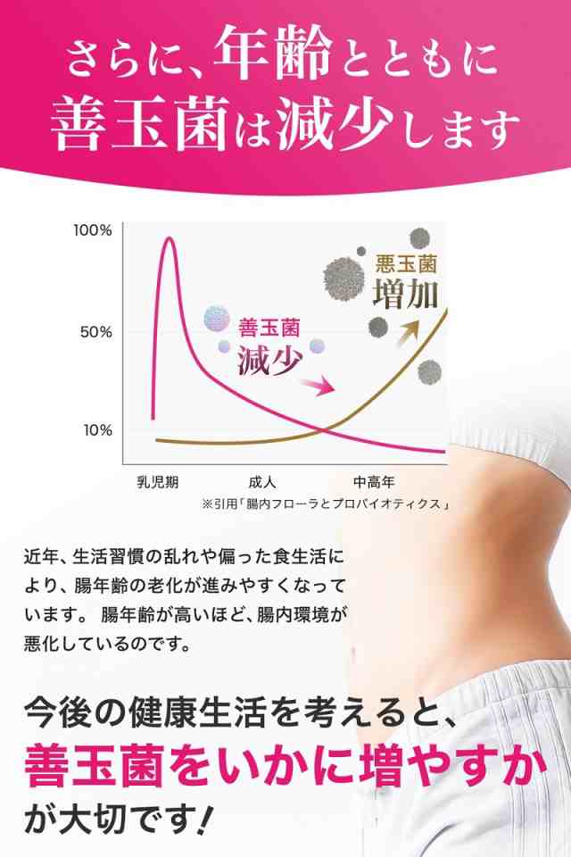 菌トレ習慣 乳酸菌 サプリ 腸活 腸内 ビフィズス菌 ラクトフェリン 2袋