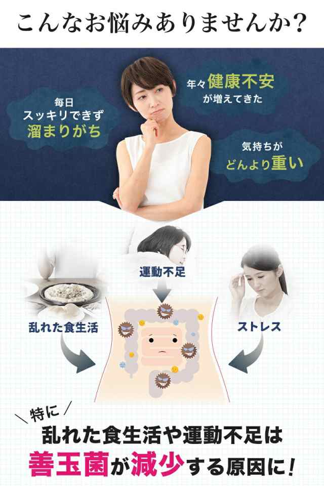 乳酸菌 ビフィズス菌 サプリ 健康　腸活 腸内環境 美容　サプリメント - 2