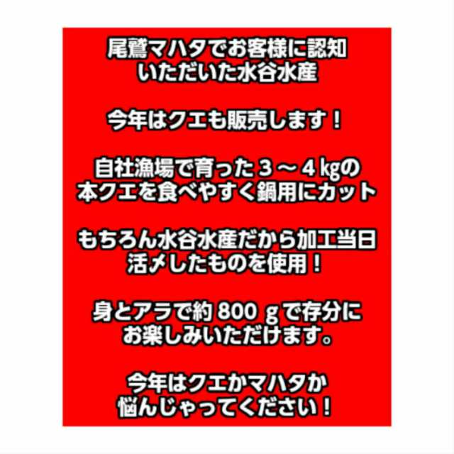 送料無料 幻の超高級魚 クエ鍋セット 本クエ 九絵 鍋料理 三重県産 ３ 4人前 約800g ご馳走 鍋 ご贈答 お祝い 海鮮セットの通販はau Pay マーケット 水谷水産 Au Pay マーケット店