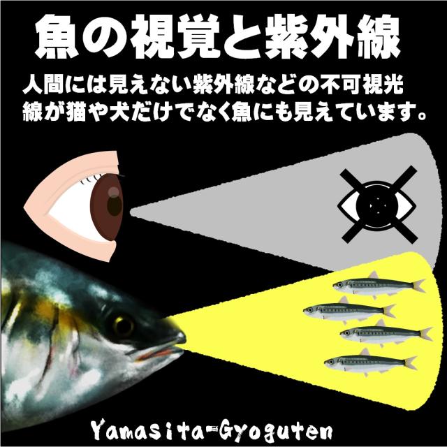 ケイムラコンビ小魚 極細ワイヤー0 39mm cm ムツ19号 接続部クレンサルカン 五目釣り 五目釣 仕掛け ハリス切れ防止 ハリス切れ対策の通販はau Pay マーケット 山下漁具店