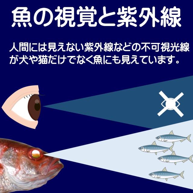 集魚剤 つけ エサ 用 紫外線 ケイムラ 加工 蛍光 発光 濃縮粉末 紫 赤 ピンク 回分以上 5g 専用スプーン付き アジ キンメ 根魚の通販はau Pay マーケット 山下漁具店