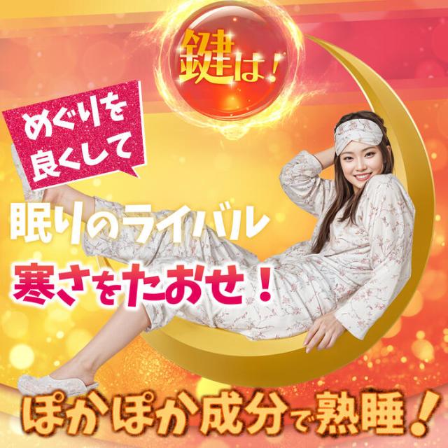 健康補助食品】 寝ている間の 燃焼系 燃やさナイト 60粒入(15日〜30日