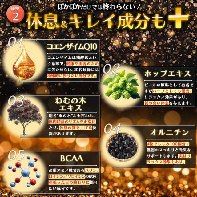 健康補助食品】 寝ている間の 燃焼系 燃やさナイト 60粒入(15日〜30日