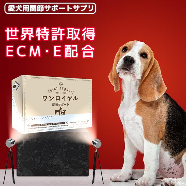 世界 9 か国特許取得成分 Ecm E ヒアルロン酸配合 Wan Royal ワンロイヤル 関節 サポート 犬 犬用 老犬 サプリ サプリメント 皮膚 毛の通販はau Pay マーケット セレン 公式ショップ