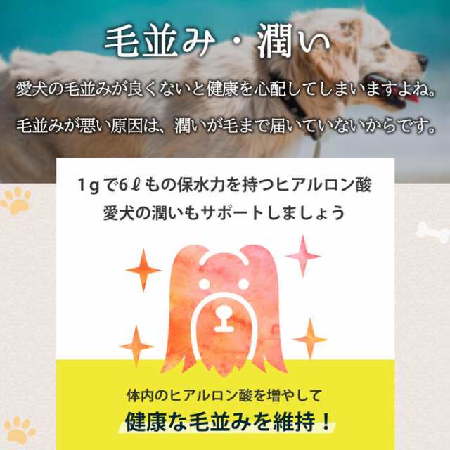 世界 9 か国特許取得成分 ECM・E ヒアルロン酸配合】Wan Royal ワンロイヤル 関節 サポート 犬 犬用 老犬 サプリ サプリメント 皮膚  毛の通販はau PAY マーケット - セレン 公式ショップ