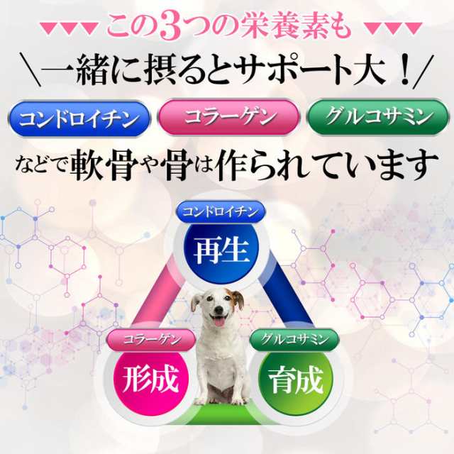 世界 9 か国特許取得成分 ECM・E ヒアルロン酸配合】Wan Royal ワンロイヤル 関節 サポート 犬 犬用 老犬 サプリ サプリメント 皮膚  毛の通販はau PAY マーケット - セレン 公式ショップ