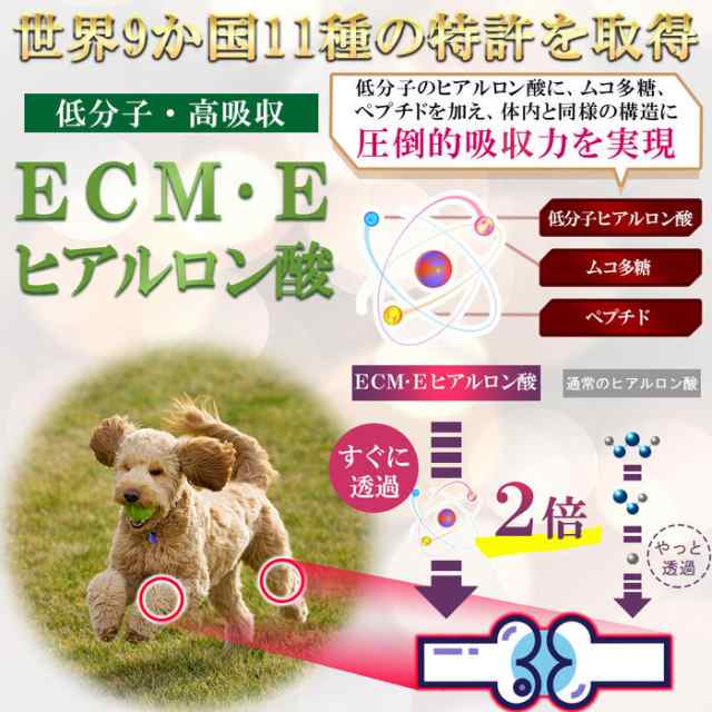 世界 9 か国特許取得成分 ECM・E ヒアルロン酸配合】Wan Royal ワンロイヤル 関節 サポート 犬 犬用 老犬 サプリ サプリメント 皮膚  毛の通販はau PAY マーケット - セレン 公式ショップ