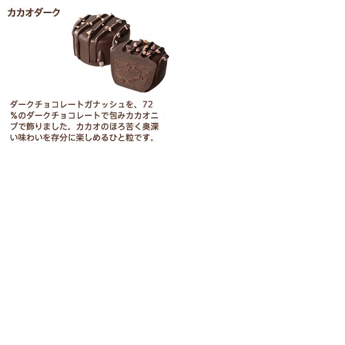 GODIVA ゴディバ森の恵み　カカオの魅惑アソートメント（10粒入）2箱セット