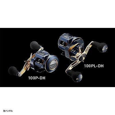 Amazon.com : Daiwa 21 Saltiga IC 100 : Sports & Outdoors