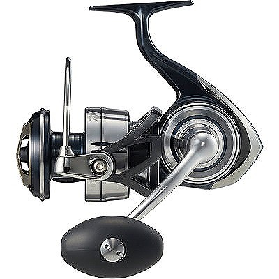 4550133073311)ダイワ(DAIWA) 21 セルテート SW 8000-H 値引きする