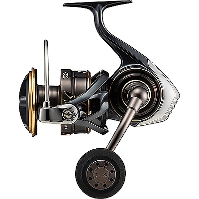 Daiwa 22 Caldia SW 10000-P