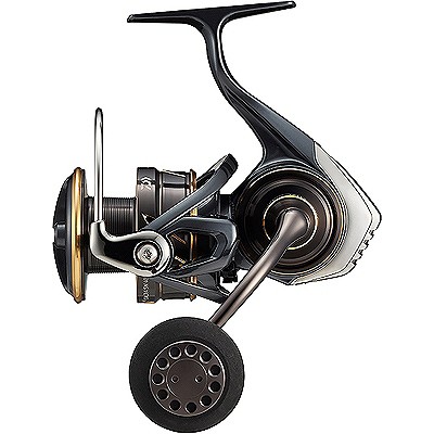 (4550133220661)ダイワ(DAIWA) 22 カルディア SW 4000D-CXH