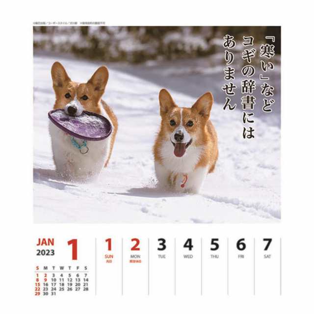 犬川柳 カレンダー 23 犬 コーギー 週めくり 卓上 壁掛け いぬ 日曜始まり 月間 かわいい おしゃれ シンプル 動物写真 書き込み 予定管の通販はau Pay マーケット 8loop