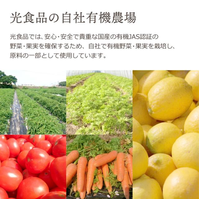 光食品 ヒカリ 有機野菜とバナナのスムージー 160g×30本×1ケース (30本 