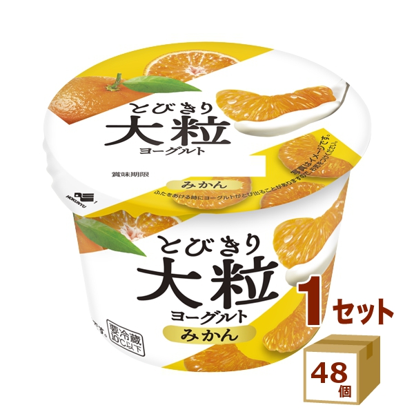 北海道乳業 とびきり大粒ヨーグルト みかん 120g×48個 食品【チルドセンターより直送・同梱不可】ミカン 朝食