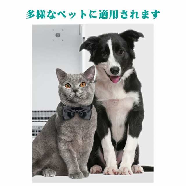 Jirpet 全自動ペット乾燥箱 乾燥ボックス 犬 猫 ドライ 最短10分 ペットドライルーム 殺菌 お風呂後速乾の通販はau PAY マーケット -  雅美良品 | au PAY マーケット－通販サイト