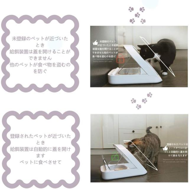 Surefeed 自動フィーダー マイクロチップ インテリジェント識別 盗難防止 猫 ねこネコ 小型 犬 ペット用品_3