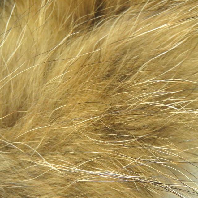 良品 MACKINTOSH PHILOSOPHY マッキントッシュフィロソフィー ファー・フード付き ブルゾン ダウンジャケット 黒系 38 正規品 レディースの通販は