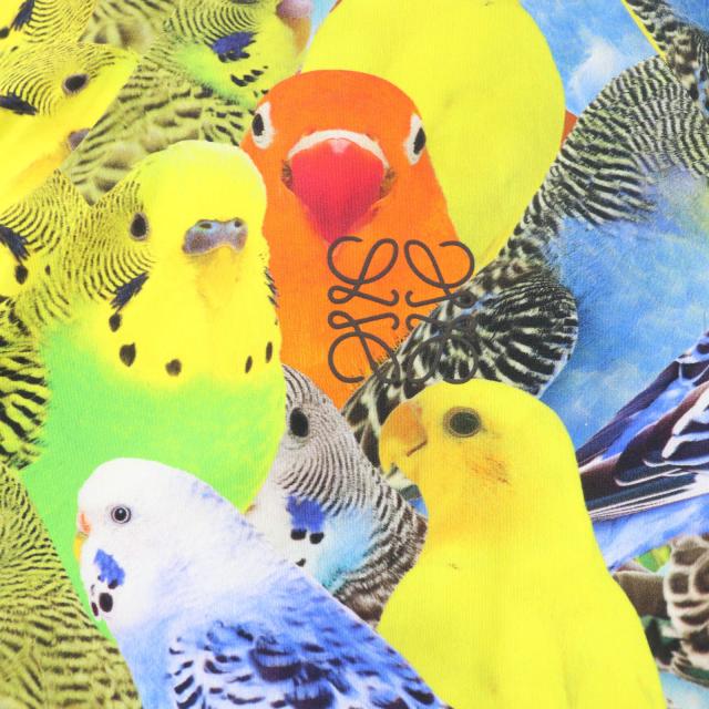 未使用品☆LOEWE ロエベ S359Y02X58 パロットプリント ZIPトップ