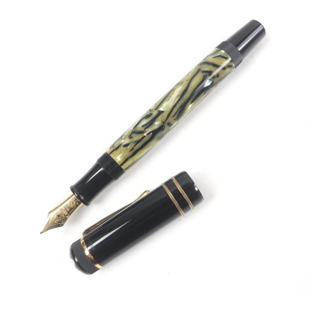 パイロット 万年筆 カスタム 槐 えんじゅ B エンジュモクメ FKV-5MK-ME