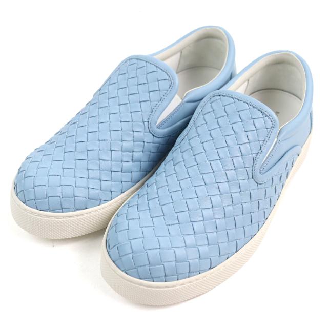 ドイツ産 ゲンゴロウモドキ 31mm ドイツではプロテクトかかってます 標本