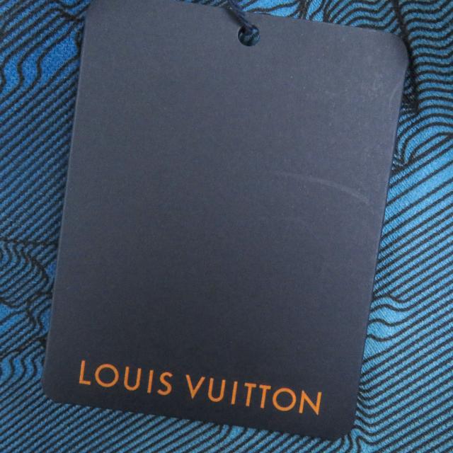 未使用品□LOUIS VUITTON ルイヴィトン 22AW 3Dモノグラム 総柄 プルオーバーパーカー フーディー ライトブルー　L イタリア製 正規品　