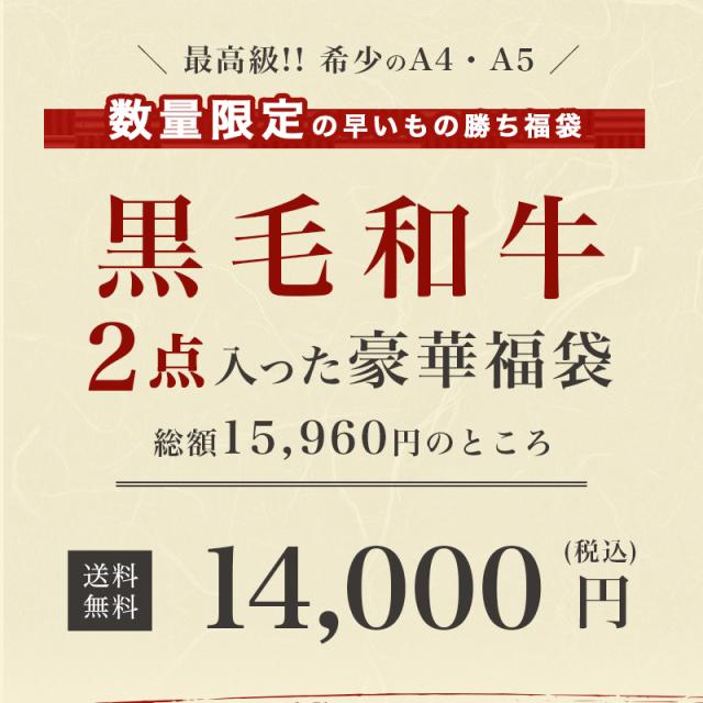 【黒毛和牛】 福袋 2点セット 肉福袋 サーロイン スライス 黒毛和牛 国産お肉 ハッピーバッグ 高級肉 お肉 高級 お取り寄せ 焼肉 お取り寄せグルメ 牛肉 プレゼント ギフト 贈り物 お祝い お歳暮 誕生日プレゼント_2