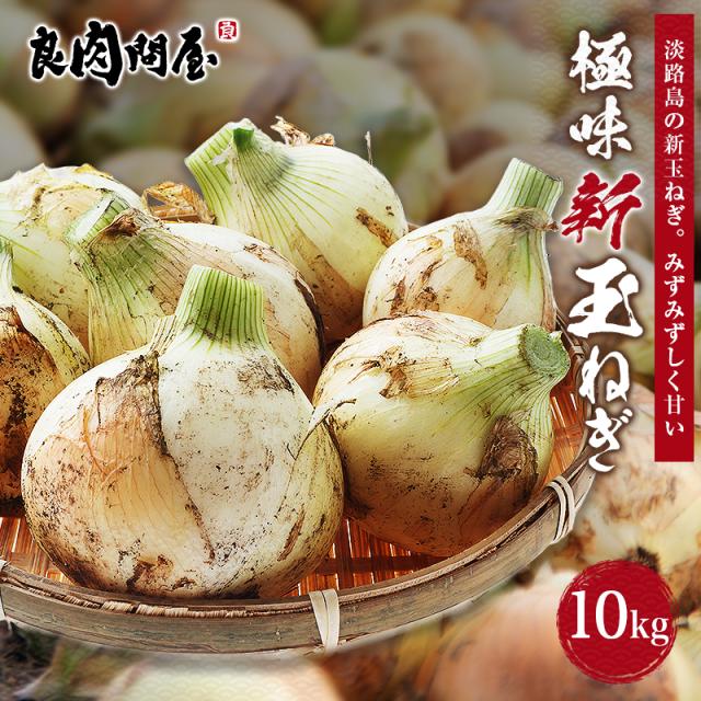 有機完熟堆肥使用で土作りからこだわった究極の玉ねぎ『淡路島の極味玉ねぎ』 新たまねぎ 10kg 箱入り 新玉葱 淡路島の極味玉ねぎ たまねぎ 淡路島たまねぎ 7,056円
