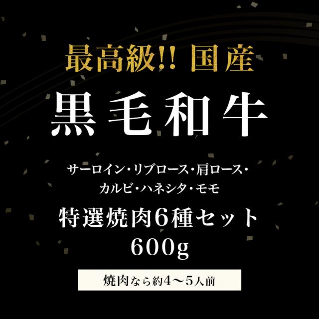 差し上げ物 【焼肉6種の盛取り合わせ】黒毛和牛 特選焼肉 6種仕かける 600g サーロイン リブロース 肩ロース カルビ ハネシタ 桃 御膳上等肉 お肉 お取り寄せ 焼肉仕かける BBQ お取り寄せ食い道楽 牛  差し上げ物 差し上げ物 差し上げ物  生まれ落ちる日 母の日 父の日 お中元 御祝い 内祝い